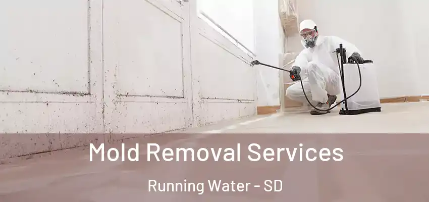 Mold Removal Services Running Water - SD