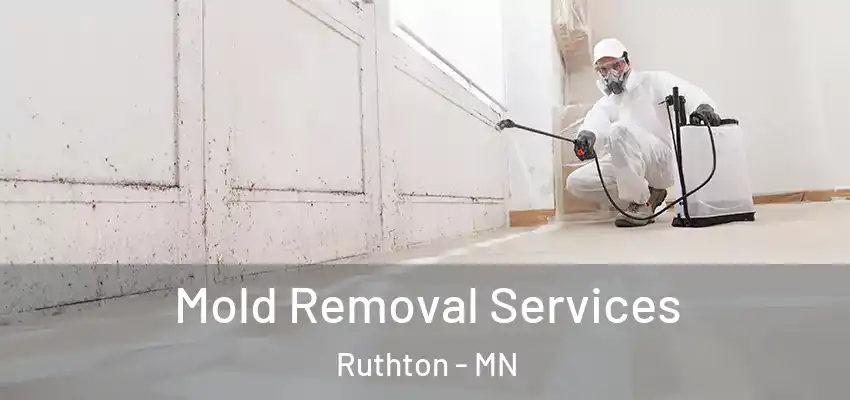 Mold Removal Services Ruthton - MN