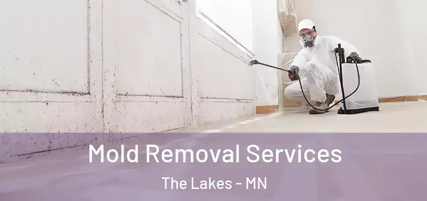 Mold Removal Services The Lakes - MN