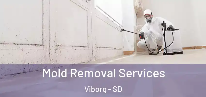 Mold Removal Services Viborg - SD