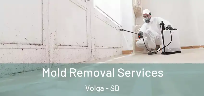  Mold Removal Services Volga - SD