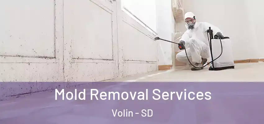  Mold Removal Services Volin - SD