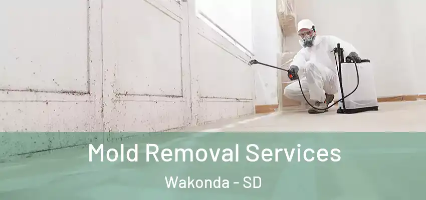  Mold Removal Services Wakonda - SD
