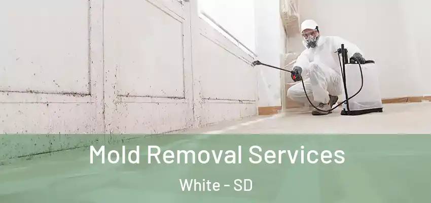 Mold Removal Services White - SD