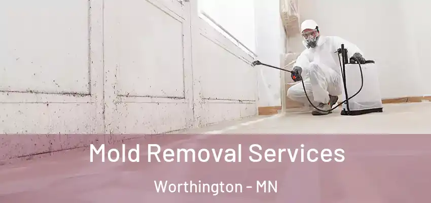  Mold Removal Services Worthington - MN