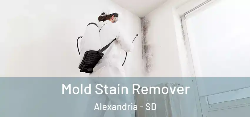  Mold Stain Remover Alexandria - SD