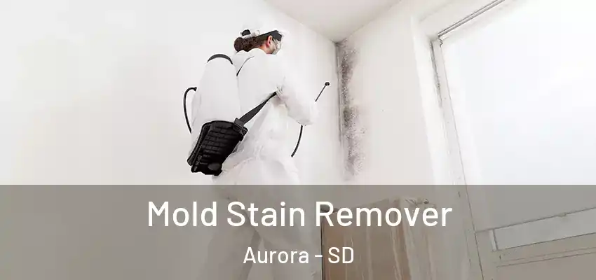  Mold Stain Remover Aurora - SD