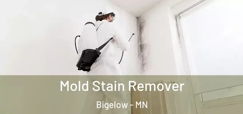  Mold Stain Remover Bigelow - MN