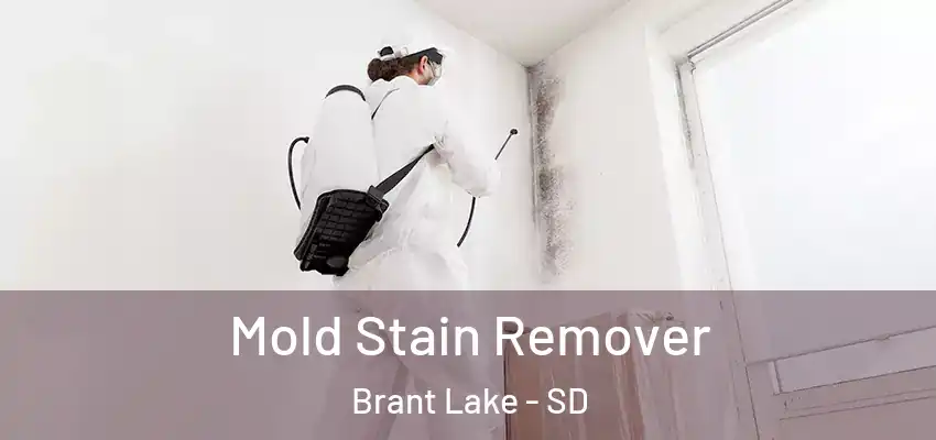  Mold Stain Remover Brant Lake - SD