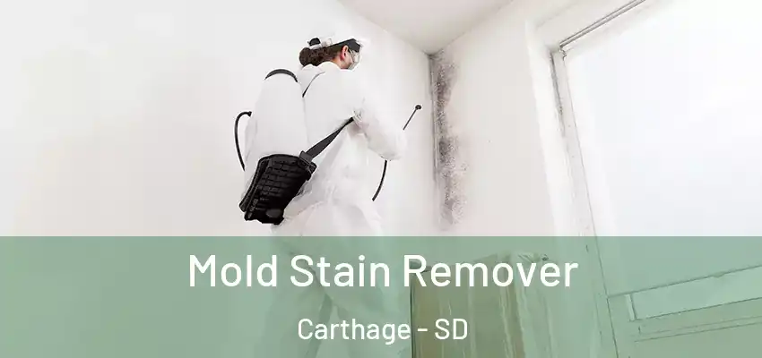  Mold Stain Remover Carthage - SD