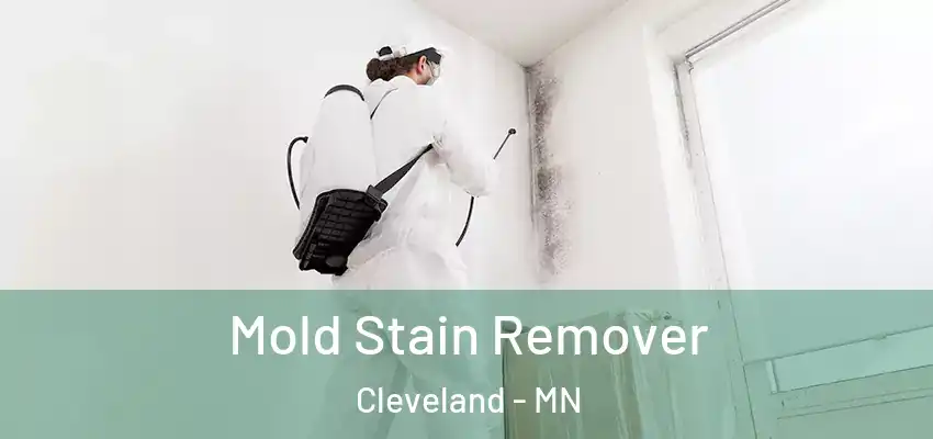  Mold Stain Remover Cleveland - MN