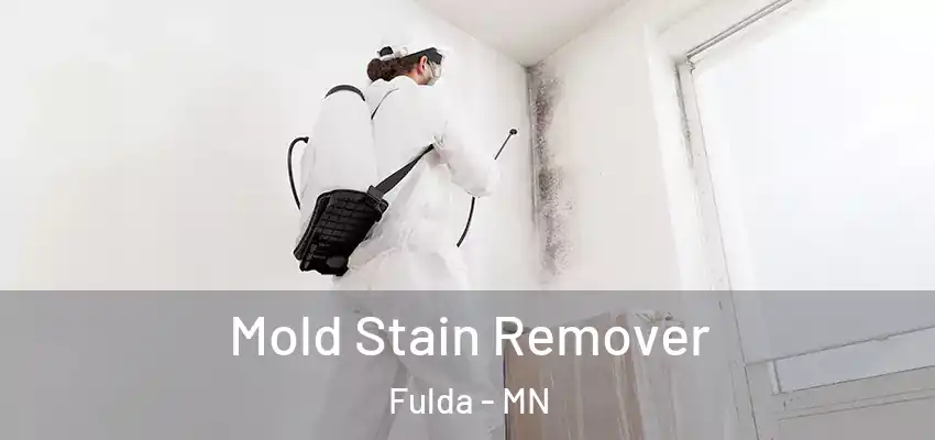  Mold Stain Remover Fulda - MN