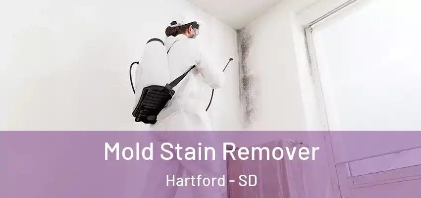  Mold Stain Remover Hartford - SD