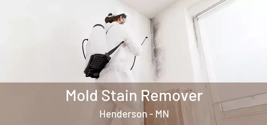  Mold Stain Remover Henderson - MN