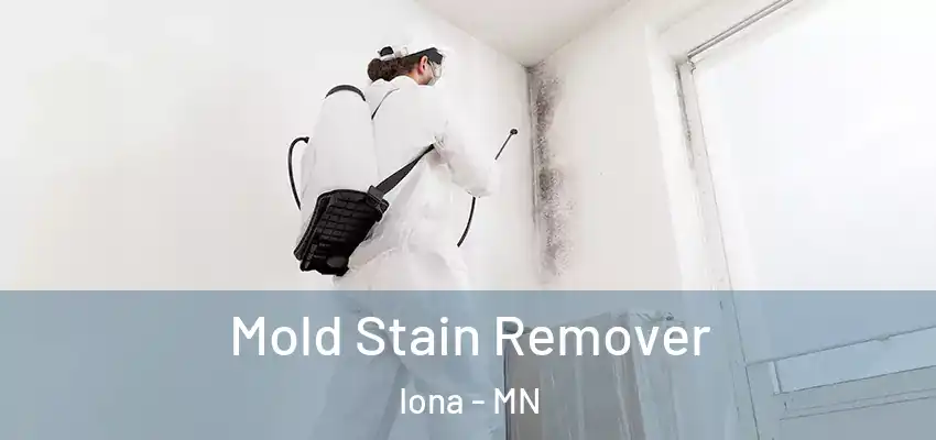  Mold Stain Remover Iona - MN