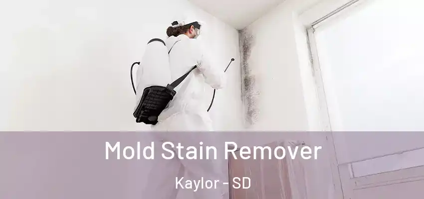  Mold Stain Remover Kaylor - SD