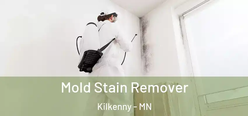 Mold Stain Remover Kilkenny - MN