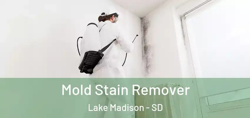  Mold Stain Remover Lake Madison - SD