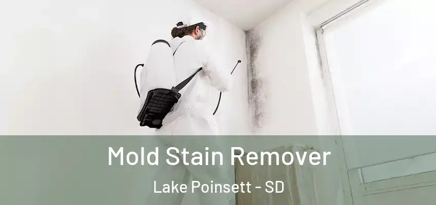 Mold Stain Remover Lake Poinsett - SD