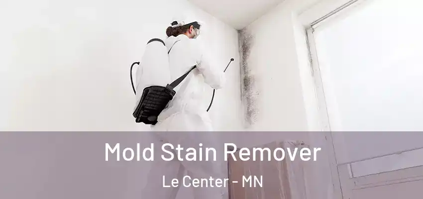  Mold Stain Remover Le Center - MN