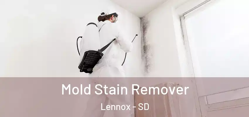  Mold Stain Remover Lennox - SD