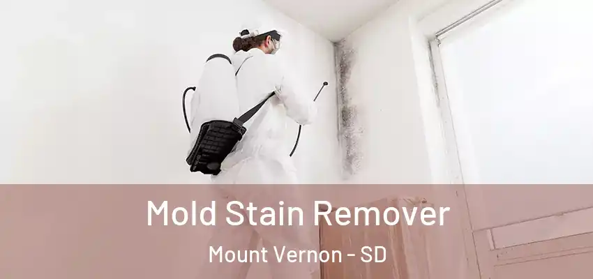  Mold Stain Remover Mount Vernon - SD