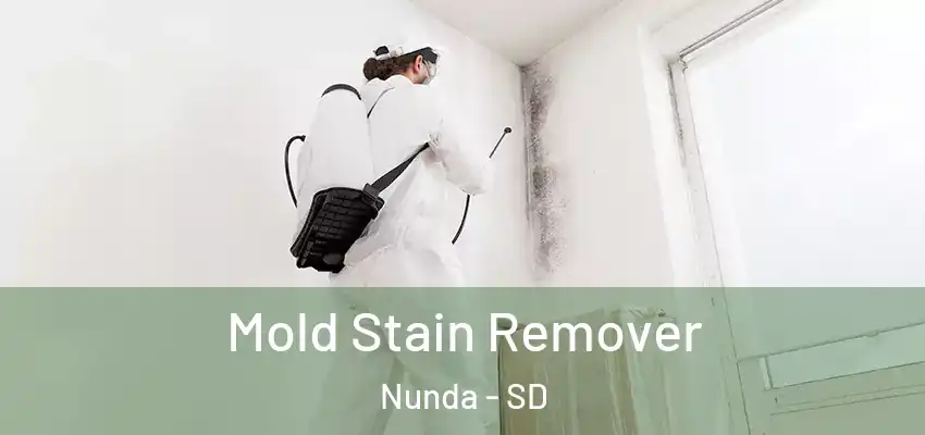  Mold Stain Remover Nunda - SD