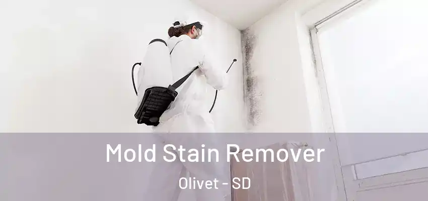  Mold Stain Remover Olivet - SD
