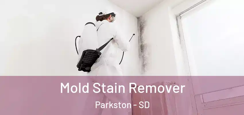  Mold Stain Remover Parkston - SD