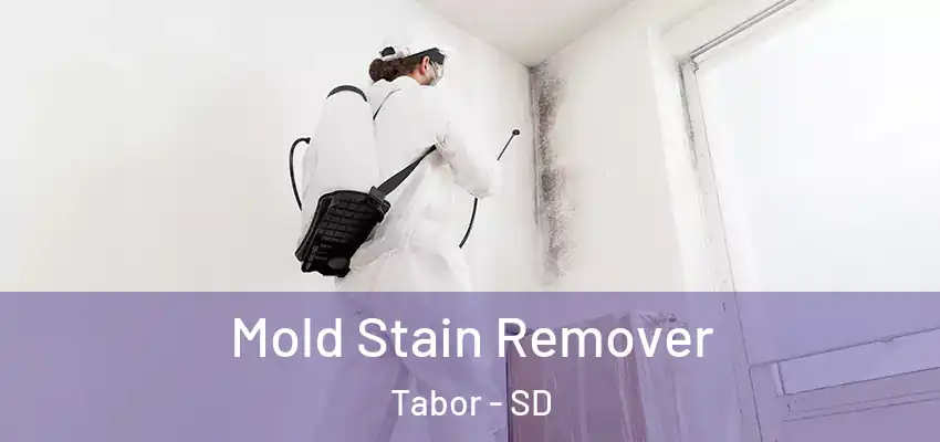  Mold Stain Remover Tabor - SD
