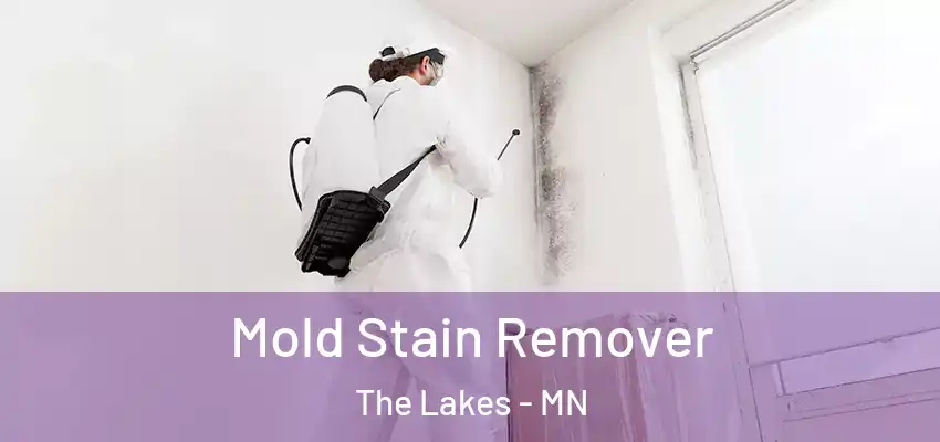  Mold Stain Remover The Lakes - MN