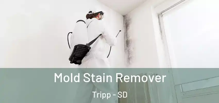  Mold Stain Remover Tripp - SD
