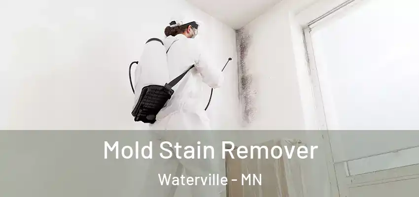  Mold Stain Remover Waterville - MN