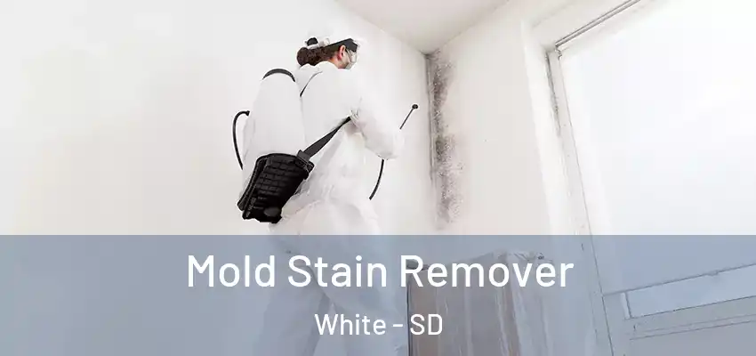  Mold Stain Remover White - SD