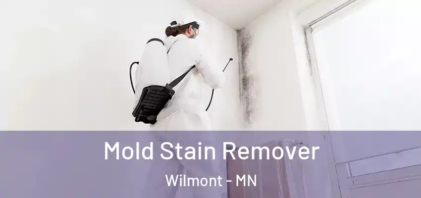  Mold Stain Remover Wilmont - MN