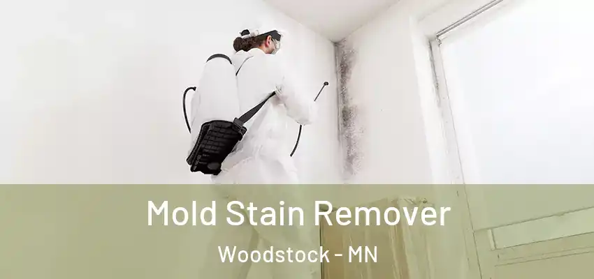 Mold Stain Remover Woodstock - MN