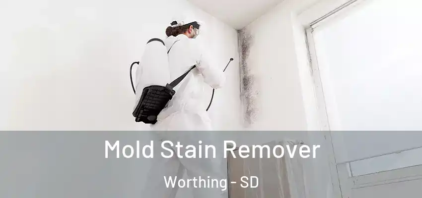  Mold Stain Remover Worthing - SD