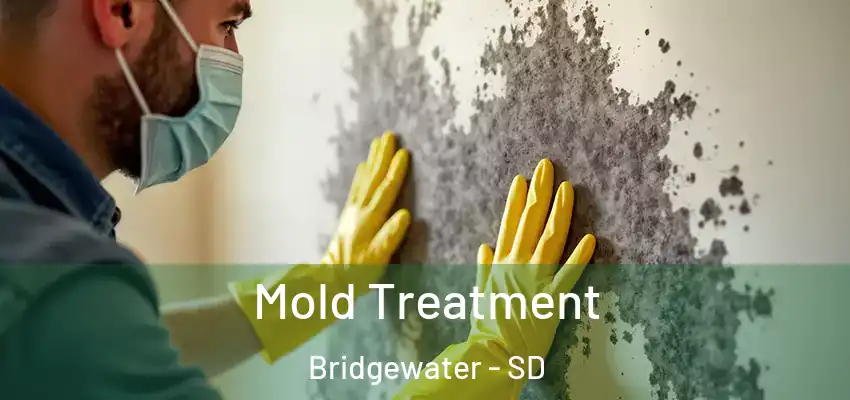 Mold Treatment Bridgewater - SD