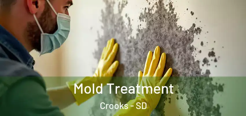  Mold Treatment Crooks - SD