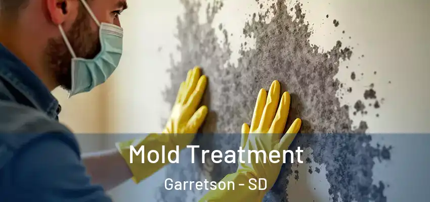  Mold Treatment Garretson - SD