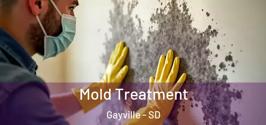  Mold Treatment Gayville - SD