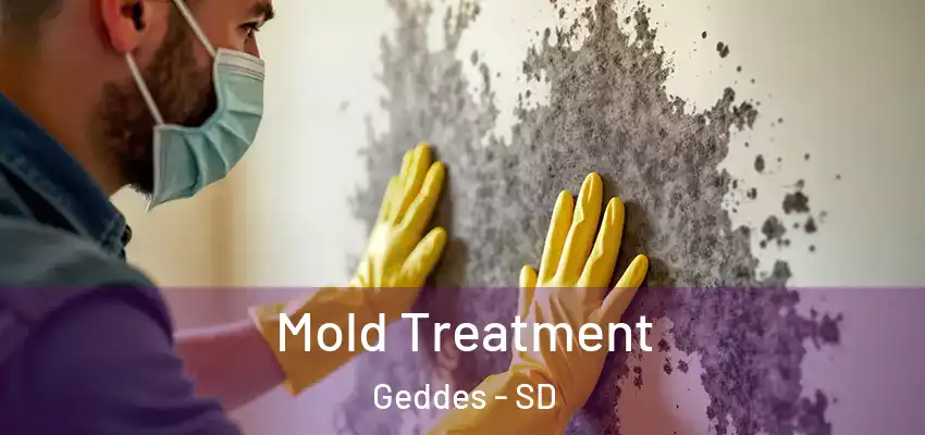  Mold Treatment Geddes - SD