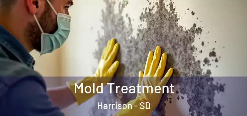  Mold Treatment Harrison - SD