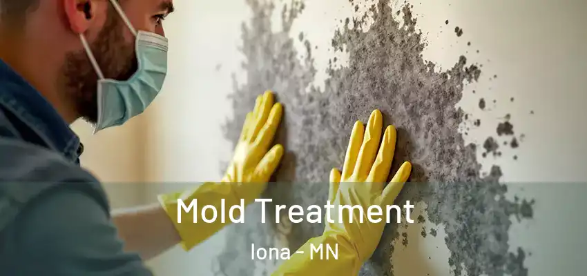  Mold Treatment Iona - MN