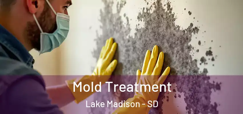  Mold Treatment Lake Madison - SD