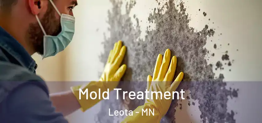  Mold Treatment Leota - MN
