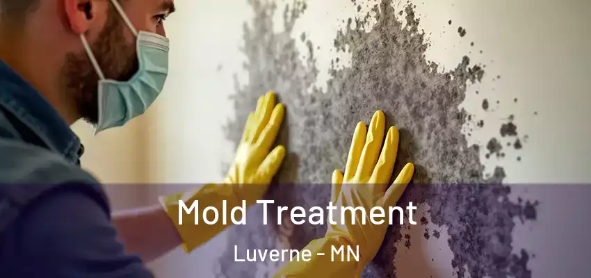  Mold Treatment Luverne - MN