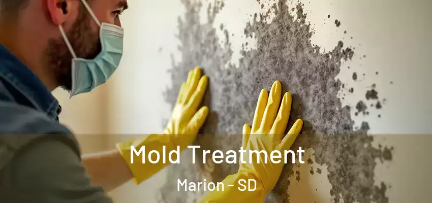  Mold Treatment Marion - SD