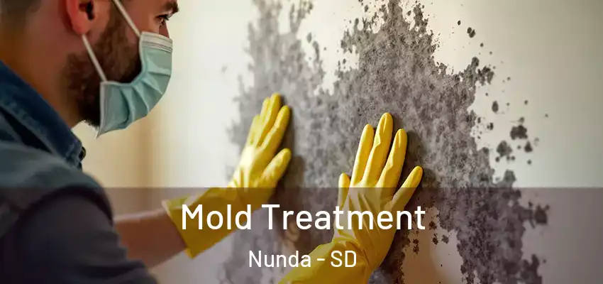  Mold Treatment Nunda - SD
