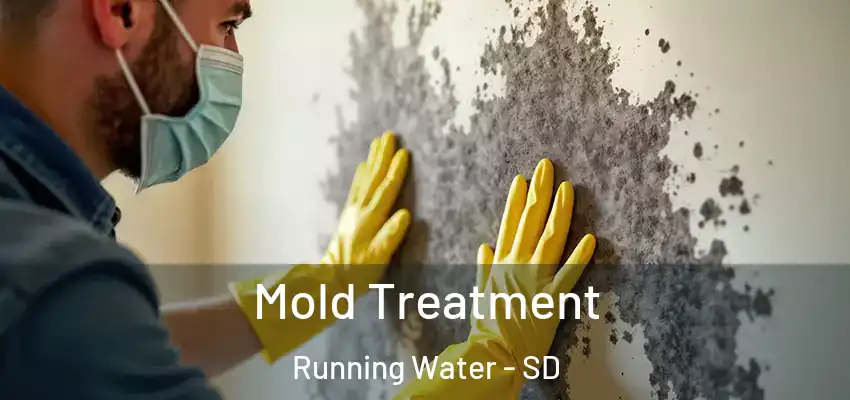  Mold Treatment Running Water - SD